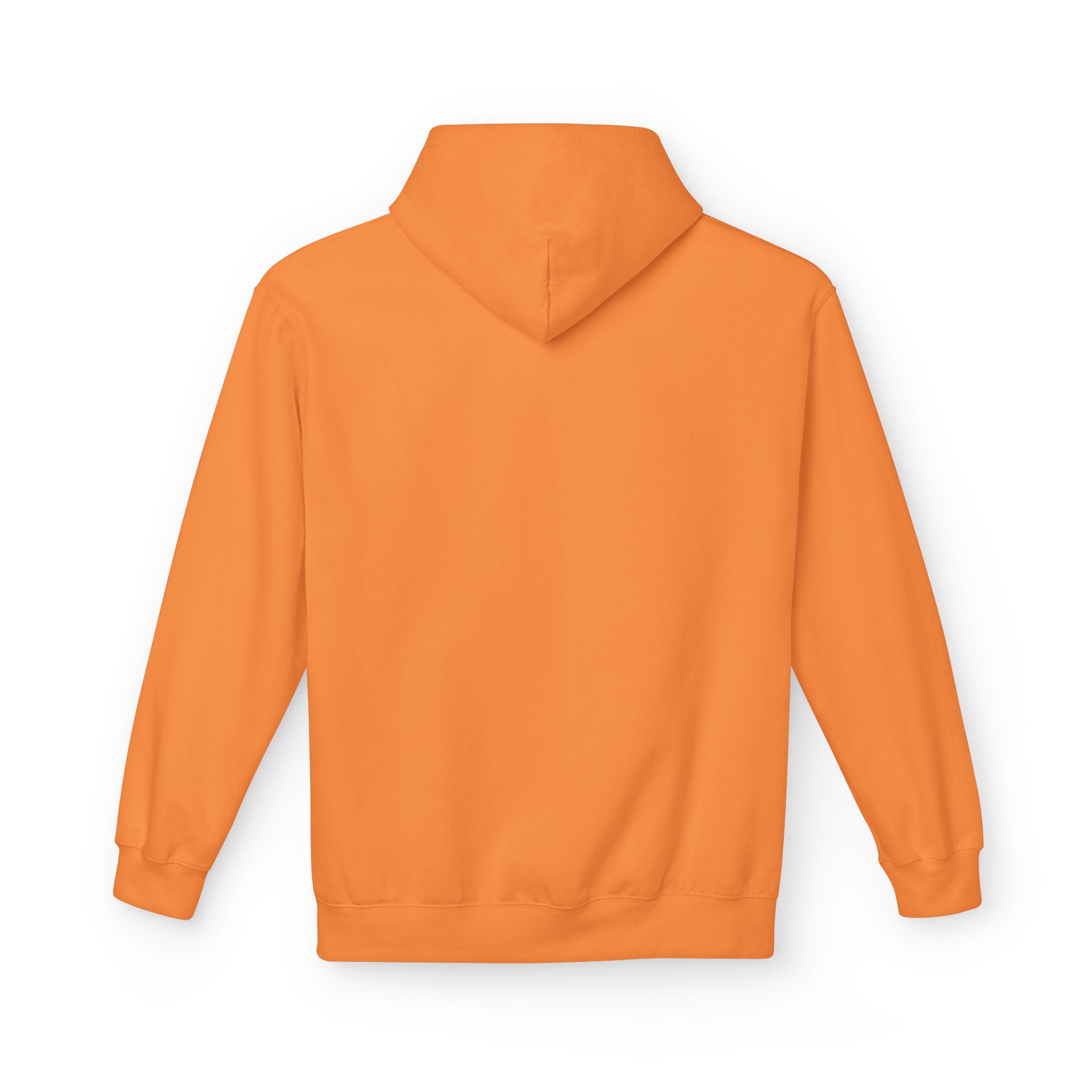 Minimalist Abstract Circle Hoodie, Unisex Softstyle Fleece Pullover, Modern Geometric Sweatshirt.